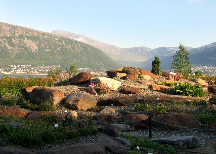 Arctic–Alpine Botanic Garden, Norway